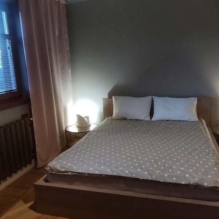 Patek Premium Apartments - Airport Lawica & Mtp & Car Races & International Trade Fairs Skorzewo  Bagian luar foto